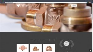 parvaz-bronze-01